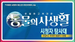 [KBS시청자탐사대] 은밀하고 위대한 동물의 사생활_2022.09.04(1002회)