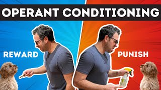 How Rewards & Punishments Control Your Behavior (Operant Conditioning)