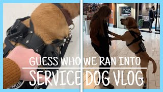 SERVICE DOG VLOG | Guess who me and my service dog ran into?
