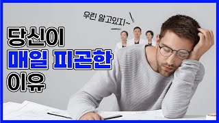 당신이 매일 피곤한 이유