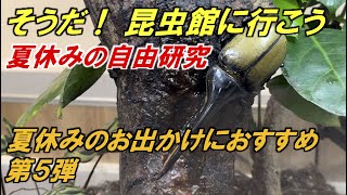 夏休みのお出かけにおすすめ第5弾【箕面公園昆虫館】夏休みの自由研究