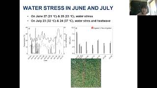 Potential of UAV-based Sun-Induced Chlorophyll Fluorescence to Detect Water Stress in Sugar Beet