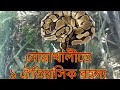 নোয়াখালীতে ১ অজানা রহস্য, Noakhalite ojana rohosso, ঐতিহাসিক রহস্য,nonstop enjoy420, nayan sd