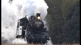 【C12 66】 真岡鉄道SL　～単機バック運転回送と単機回送をする蒸気機関車～　八木岡地区