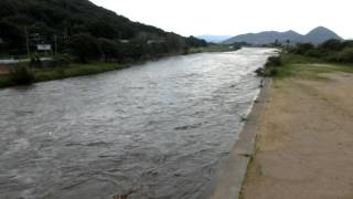 香東川　増水