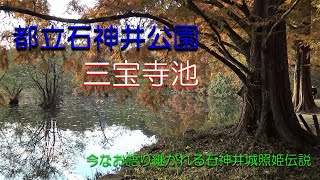 今なお照姫伝説が語り継がれる　　　　都立石神井公園　三宝寺池 (Shakujii Park / Sanpoji Pond)