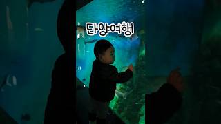 15개월아기와 단양여행코스 #단양 #단양여행 #아기와여행 #15개월아기 #cute #cutebaby #baby