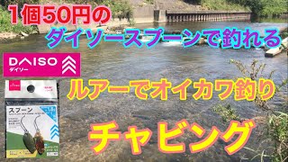 1個50円のダイソースプーンで釣れるルアーでオイカワ釣りなチャビング ブラックバス バス釣り