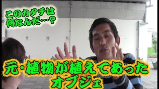 コンマニセンチの今日も全力！８１５　元・植物が植えてあったオブジェ　Dookie comedian Commanicenti!