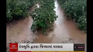 Amreli Rain | સતત વરસાદથી લીલીયાના ખેતરો થયા પાણીમાં તરબોળ, જુઓ વીડિયોમાં