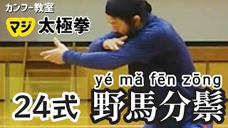 24式太極拳套路 2 野馬分鬃  (イエマーフェンゾン)の解説 yémǎfēnzōng taichi taijiquan