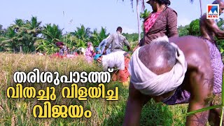 തരിശുപാടത്ത് കൃഷിയിറക്കി വാട്സാപ്പ് കൂട്ടായ്മ; നൂറുമേനി വിളവ്; മാതൃക | Kollam Farming