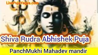 Shiva Rudrabhishek Puja Online | Live Vedic Ritual for Health, Wealth & Protection