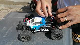 Ripmax jackal brushless upgrade