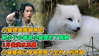 民間故事：小狐狸進屋偷魚吃，窮小子心善請小狐狸吃了個飽，3月後洪水來襲，小狐狸竟以身報恩救了全村人的性命