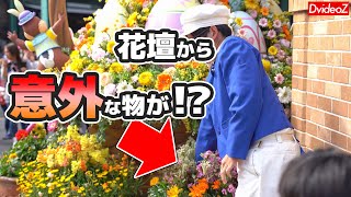 [ディズニーシー]なぜそこに！？花壇の中から拾い上げられた意外すぎる物とは…？