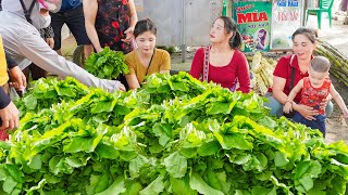 Use Horse Go Harvesting Vegetables on High Rocky Mountains Goes To Market Sell - Dang Tieu Huyen