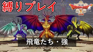 【ドラクエX 眠れる勇者と導きの盟友】バトルファンタズム縛りプレイ攻略「飛竜たち・強」【ドラゴンクエストX オフライン】(PS5)