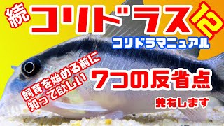 【アクアリウム/熱帯魚】コリドラス飼育を始める方へ共有したい7つの反省・改善ポイント【コリドラス水槽・コリ山水】/ナマズ系の胸びれは船縁に突き刺さる？オーストラリアで船長が実演