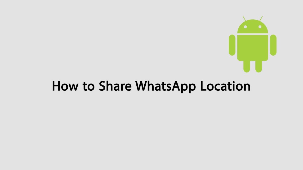 How To Share Location On Whatsapp Youtube