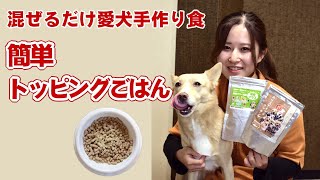 【愛犬用ごはん】混ぜるだけ 簡単トッピングご飯【帝塚山ハウンドカム】