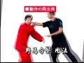 天行健中国武術館（宮平保館長）dvd太極拳篇　予告