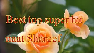 best top super hit naat Shareef || new naat Shareef 2024 || beautiful naat Shareef