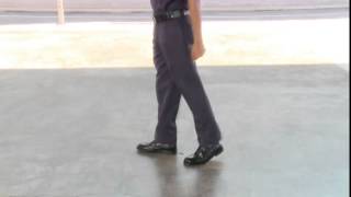 frontBasic003b