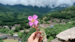 Arunachal Pradesh Riga Village Vlog part-2