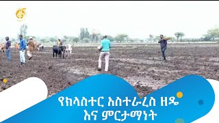 የክላስተር አስተራረስ ዘዴ እና ምርታማነት