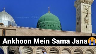 Ae Noor-e-Khuda Aakar Ankhoon Mein Sama Jana || Hafiz Tahir Qadri || WhatsApp Status