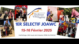 CNEAC - Sélectif JOAWC Jumping 1 U19-U15-U12