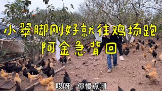 小翠一人跑去养鸡场，被阿金哥发现后把我背下山，该怎么报答他呢