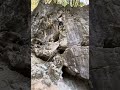 【河又の岩場】ミヤザキミドリ（5.10b）