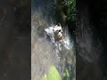 Ein Hauch von Sommer