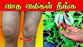 வாத வலி நீங்க | Vatham treatment tamil | Tamil | Thanithuvamm