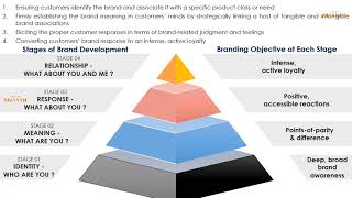 Customer-Based Brand Equity Model, Brand resonance Pyramid, Keller's brand equity model