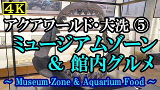 【4K水族館】アクアワールド大洗５：ミュージアムゾーン＆館内グルメ（Museum Zone \u0026 Aquarium Food）・シャークダディズルーム【2002～2022年を振り返るスライドショー】