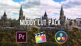 FREE Moody LUTs V2 in 2022 || FCPX, Premiere Pro, and Da Vinci - All 3 in One!