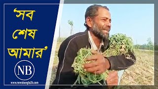 ১০ হাজার তরমুজ গাছ কাটলেন পাউবো কর্মকর্তা | Watermelon tree