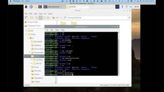 Raspberry Pi Terminal Tutorial