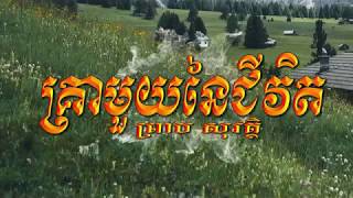 គ្រាមួយនៃជីវិត (ព្រាប សុវត្ថិ) Lyrics Audio, RHM CD 209