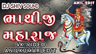 DADAM LILI PANKHDIYE | DJ REMIX | દાડમ લીલી પોખળીએ | NEW REMIX BY ANIL VEER #