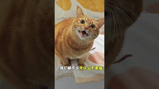 包子唱歌#goodthingstoshare #fyp #outdoors #TikTok #foryoupage #上热门要流量 #cat