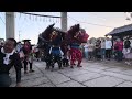 2024年10月13日 秋祭り 東かがわ市 引田 誉田八幡宮 黒羽大獅子