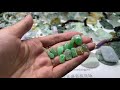 翡翠 jade 玉 赌石 jadeite 缅甸翡翠 珠寶 玉石 玉器 翡翠手镯，24小时直播哦~