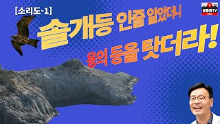 [연도-소리도]솔개등에 탄줄 알았더니, 용등에 타고 있었다!