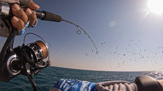 Casting wide pelagic (offshore) #fishing #sportfishing #explore