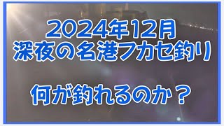 2024年12月　名港フカセ釣り　ド深夜に釣行