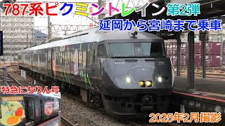 787系ピクミントレイン 延岡から宮崎まで乗ってみた【にちりん1号】